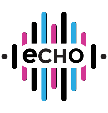 ECHO project - Survey | Misinformation in Educational Contexts